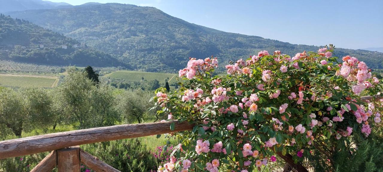 La Fornella Dell'Anita Pelago Exterior foto