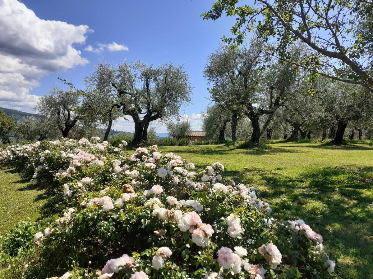 La Fornella Dell'Anita Pelago Exterior foto