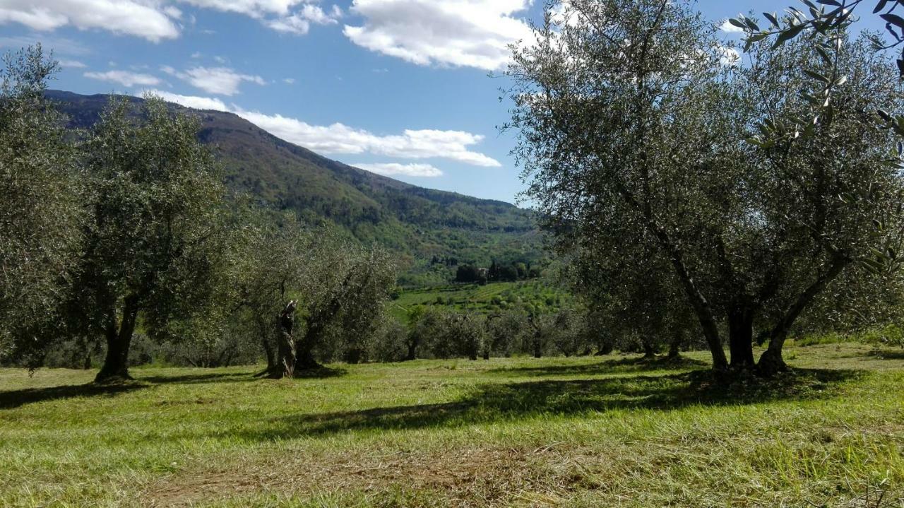 La Fornella Dell'Anita Pelago Exterior foto