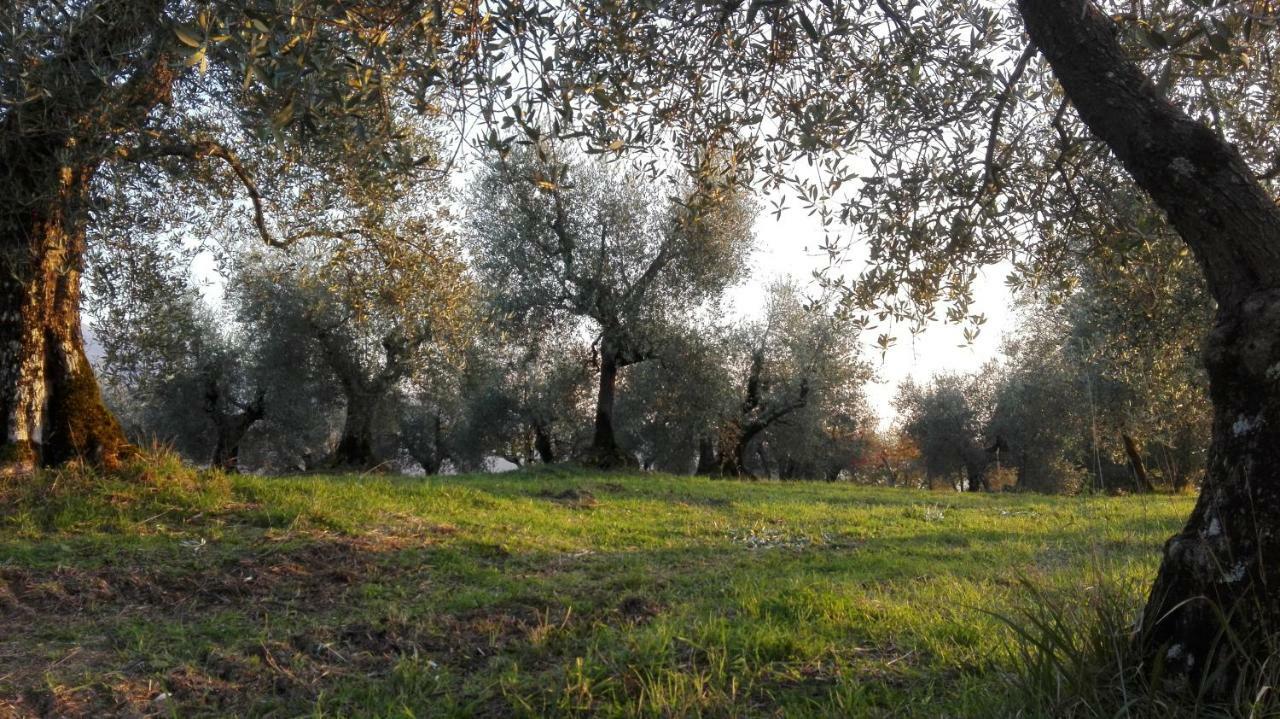 La Fornella Dell'Anita Pelago Exterior foto